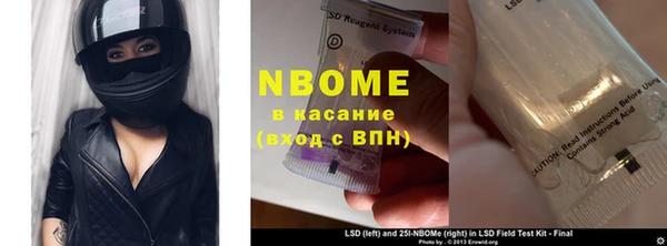 прущие грибы Абинск