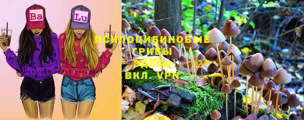 тгк Алексеевка